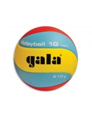 Bal volleybal indoor