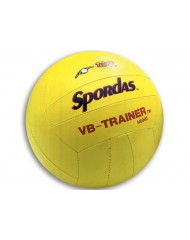 Bal - Volleybal trainer groot