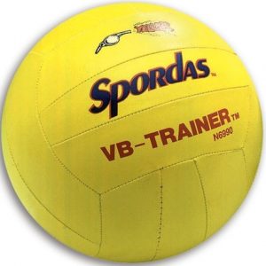Bal - Volleybal trainer klein